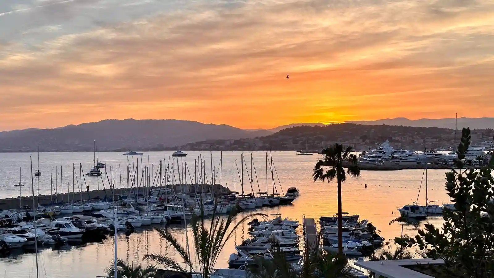 Cannes harbor at sunset